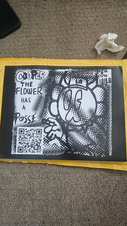 8.5×11 MINI COOPER THE FLOWER POSTER.